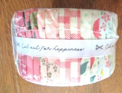 Jelly Roll 2.5 Inch Strips Boundless Fabric 100% Cotton