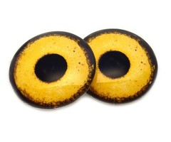 Pair Golden Eagle Bird Inspired Glass Eyes Jewelry Taxidermy Flatback Cabochons