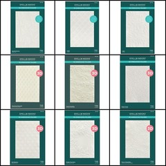 Spellbinders 3D Embossing Folder- Large Size 5.5″x8.5″ You Choose, Updated Often