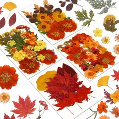Autumn Dried Leaves, 100Pcs For Candle Making, Scrapbooking, Candle,Orange