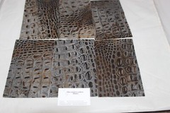 Beautiful TITAN CROC Print Gray and Black Croc Print 5″ x 8″ P6