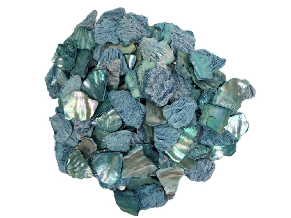 African Abalone Pieces: Blue (kg) (220-TP-XX-BL) 10UB