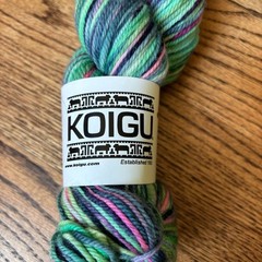 Koigu Yarn Jasmine 100% Merino Wool Multicolor Skein Green Pink DK Light Worsted